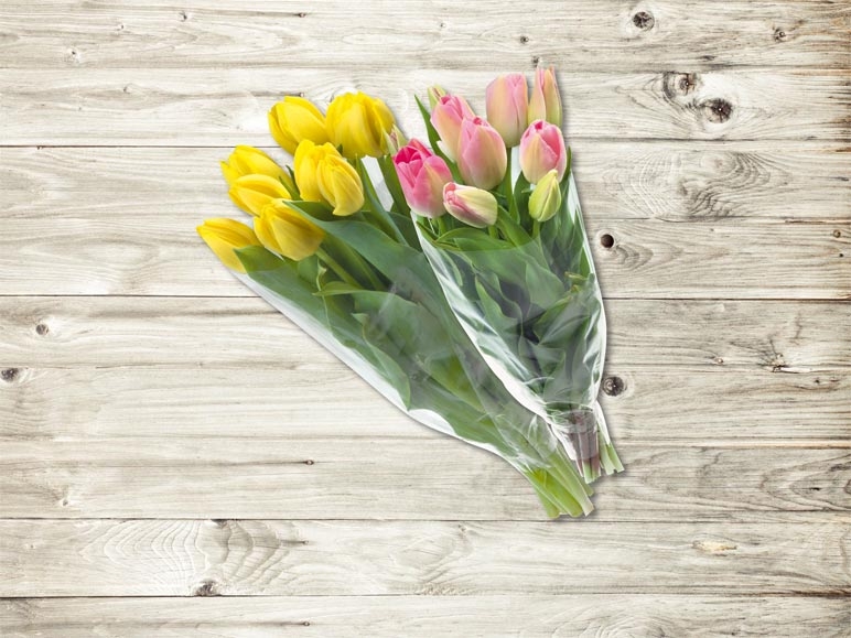 Tulipes (Tous les jours)
