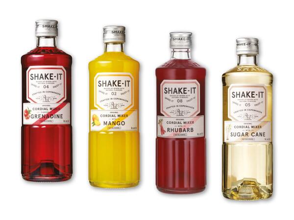 SHAKE IT Mixer