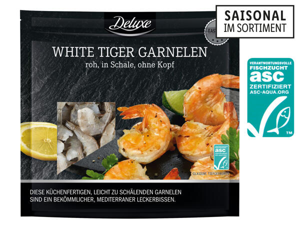 ASC White Tiger Garnelen