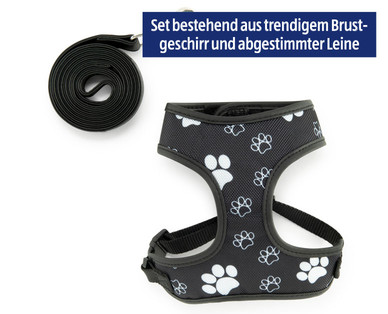 ROMEO Brustgeschirr mit Leine für kleine Hunde