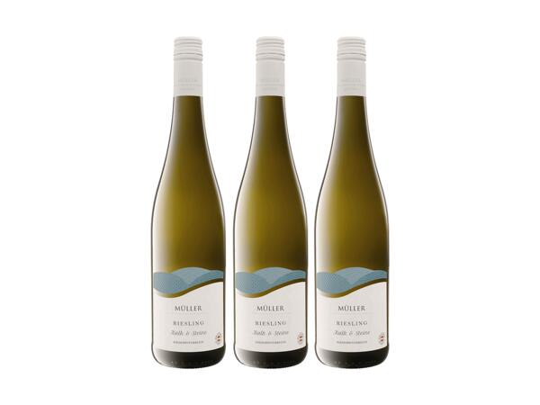 Riesling Kalk & Steine