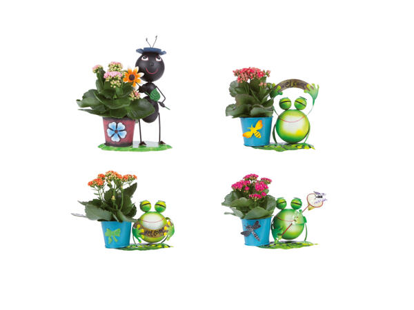 Zinkfigurer med Kalanchoe