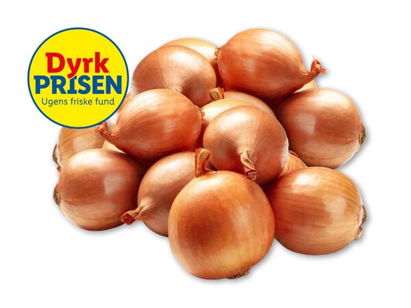 Danske løg