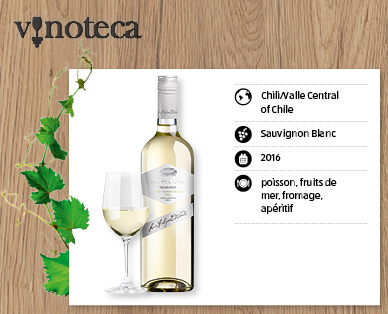 Sauvignon Blanc SANTA LUZ