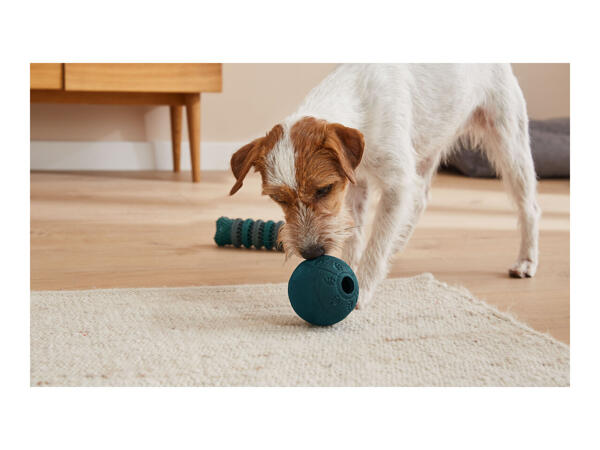 Zoofari Dental Care Toy/Pet Snack Ball/ Travel Bowl/Upholstery Brush