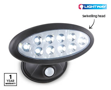 Solar Shed Light