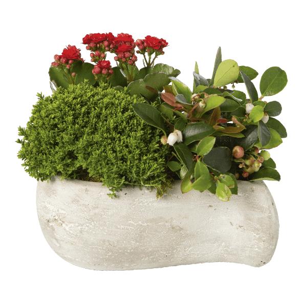 Allerheiligencompositie