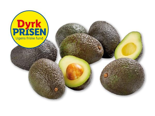 Avocado