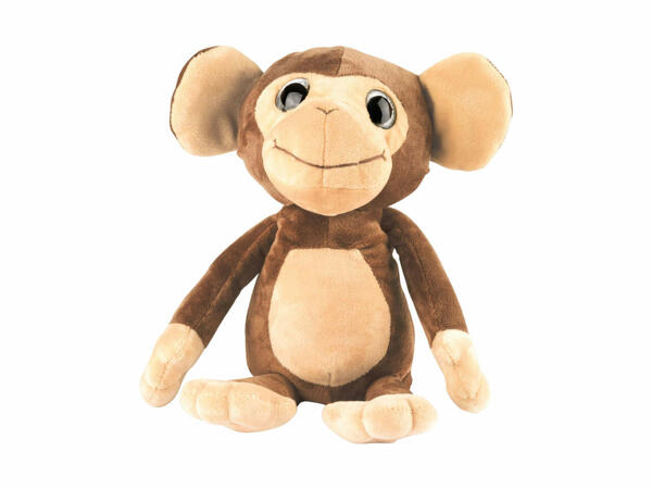 Talking Teddy