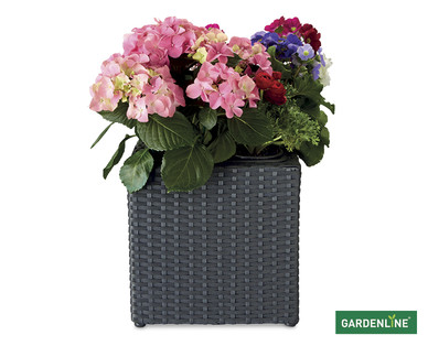 Rattan Effect Cubed Planter^