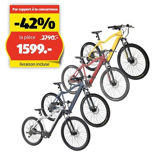 ALLEGRO Vélo électrique Invisible E-MTB AXIM°03 19"