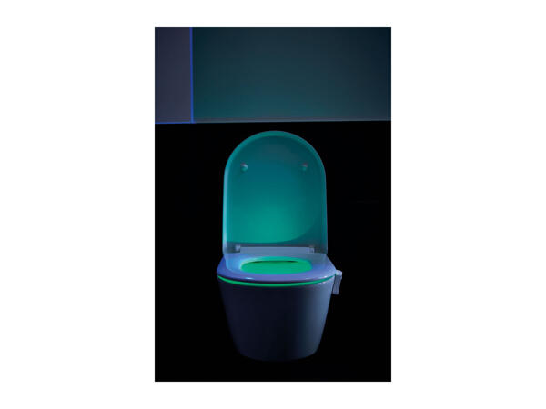 Toilet Night Light