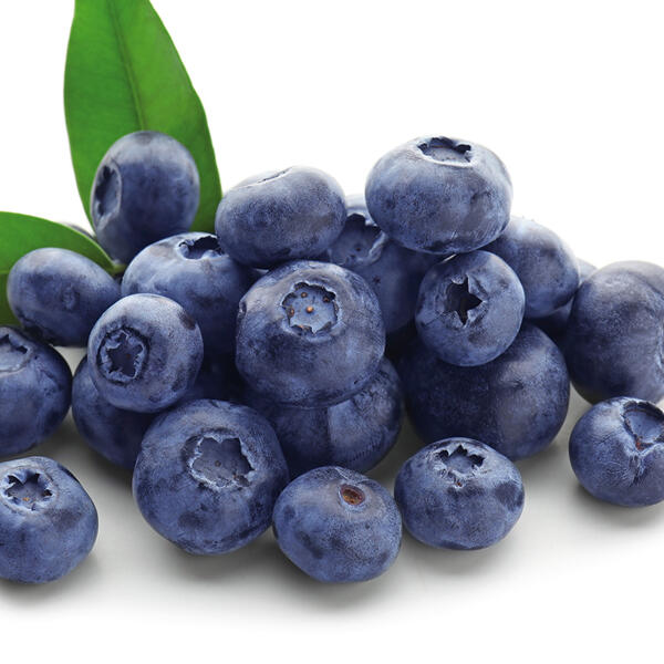 Premium Kulturheidelbeeren