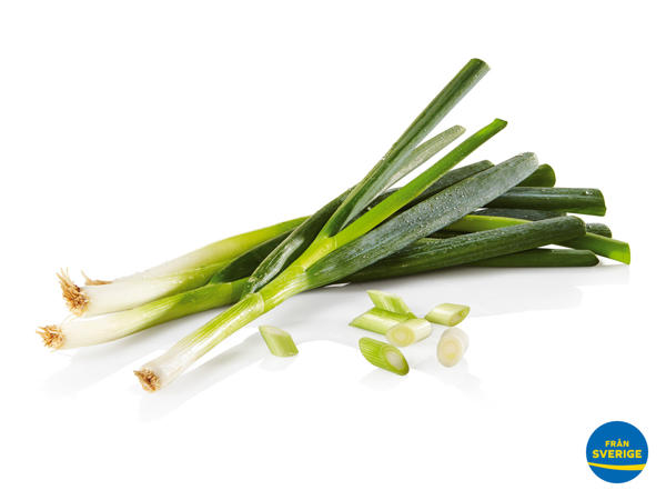 Purjolök