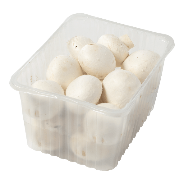 Champignons