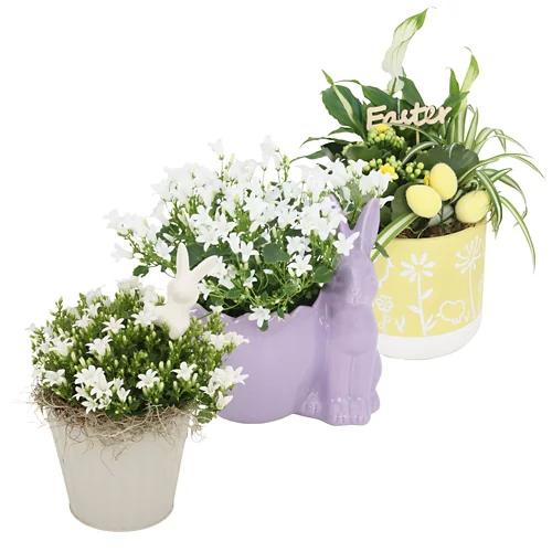 Composizione di Pasqua