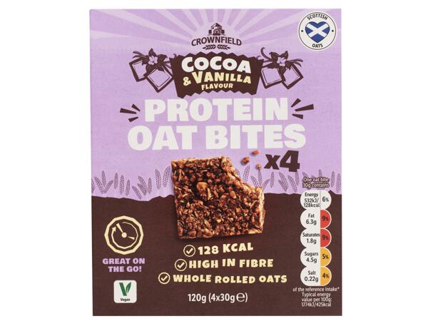 Protein Oat Bites