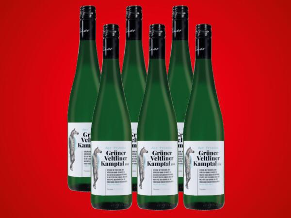 Grüner Veltliner Kamptal DAC