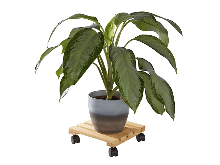 LIVARNO LIVING Plant Roller