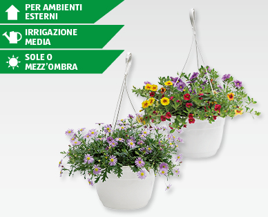 Vaso sospeso per fiori da balcone