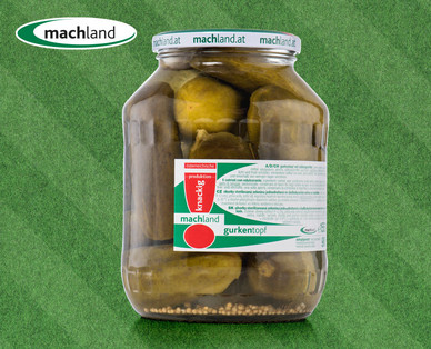 MACHLAND Gurkentopf