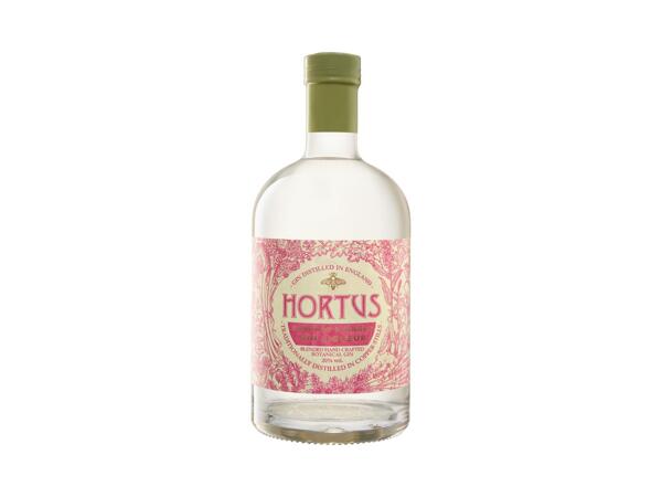 Rhubarb & Ginger Gin Liqueur