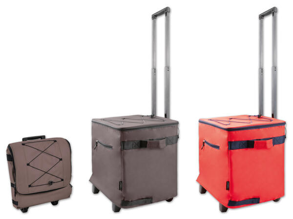 Einkaufstrolley mit Kühltasche