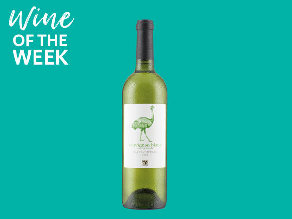 Chilean Sauvignon Blanc