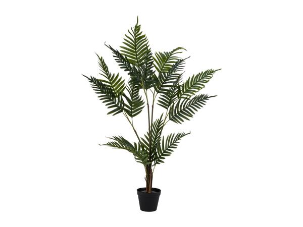Livarno Home Artificial Palm