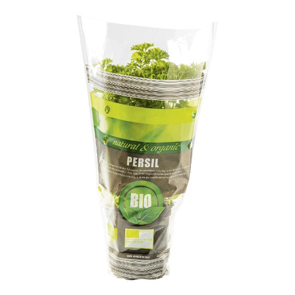 Persil bio ou ciboulette bio