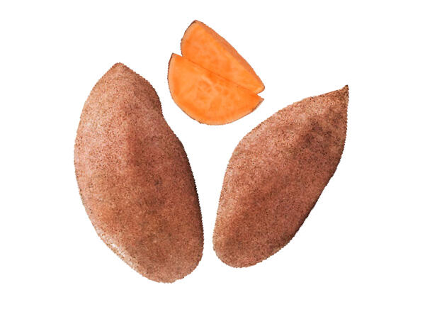 Bio-Süßkartoffeln