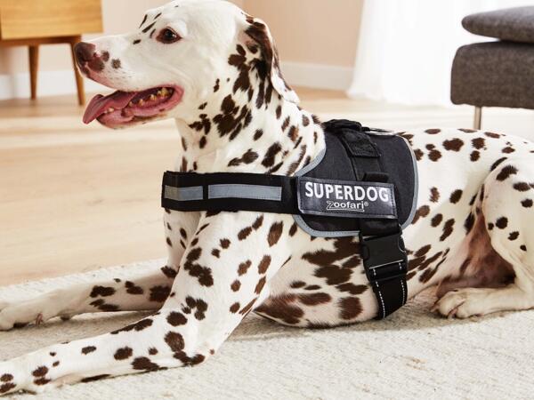 Dog Harness