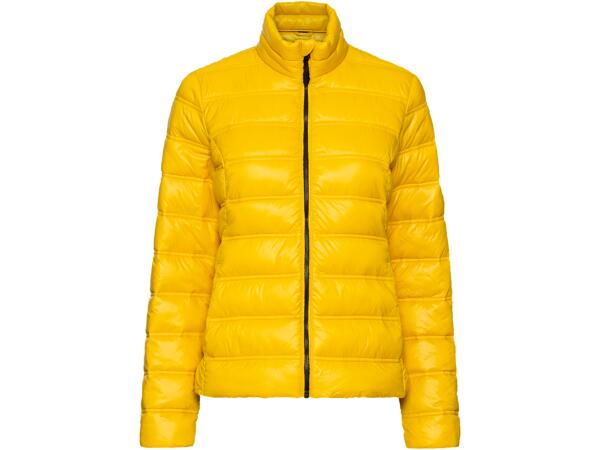 Ladies' Lightweight Jacket