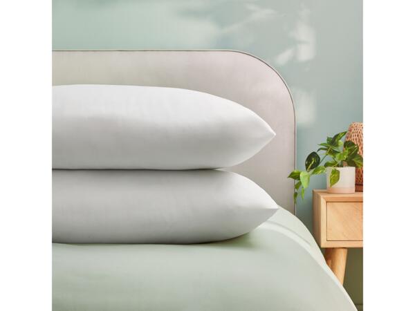 Anti-Allergy Pillow Pair