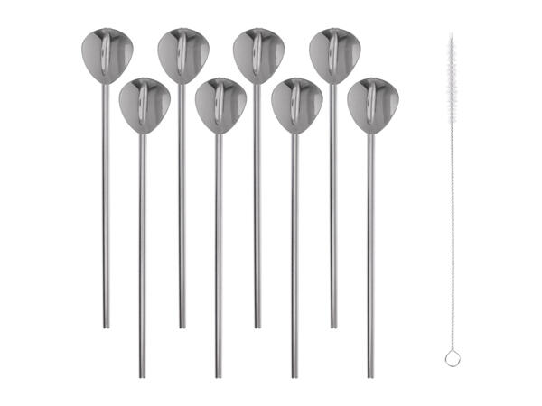 Ernesto Stainless Steel Straws / Ice Cubes
