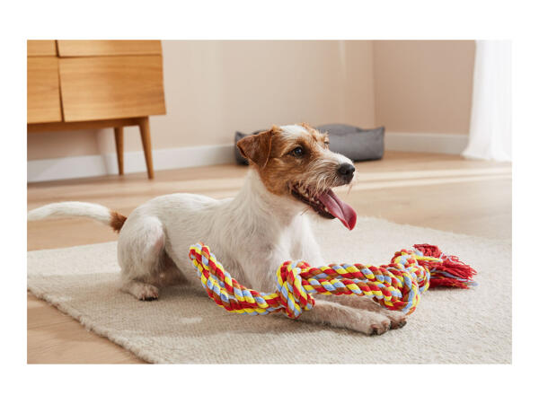Zoofari Dog Rope Toy