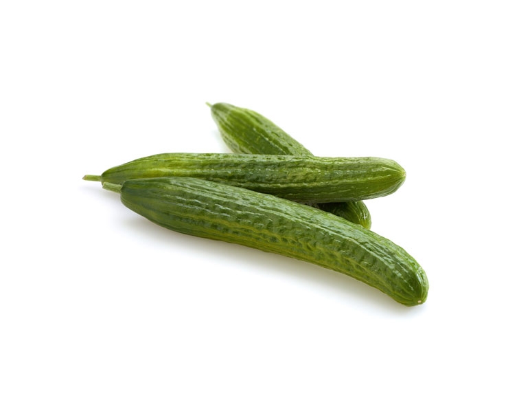 Concombre bio