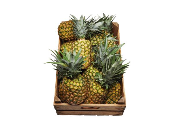 Ananas