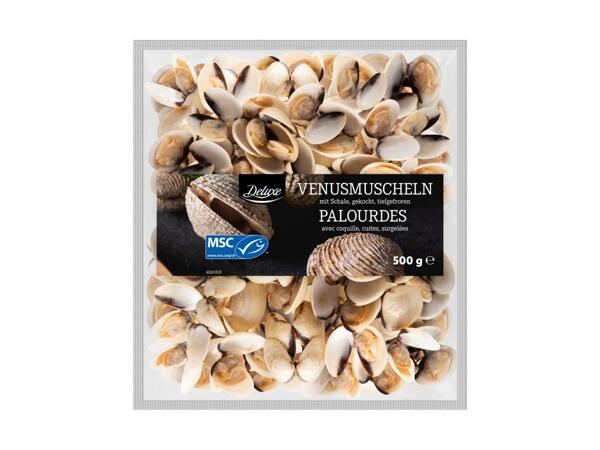 Palourdes avec coquilles MSC