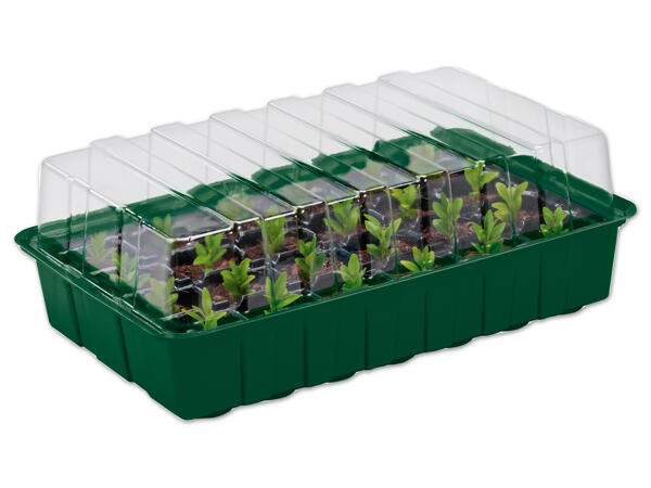 Anzuchtkasten-Set