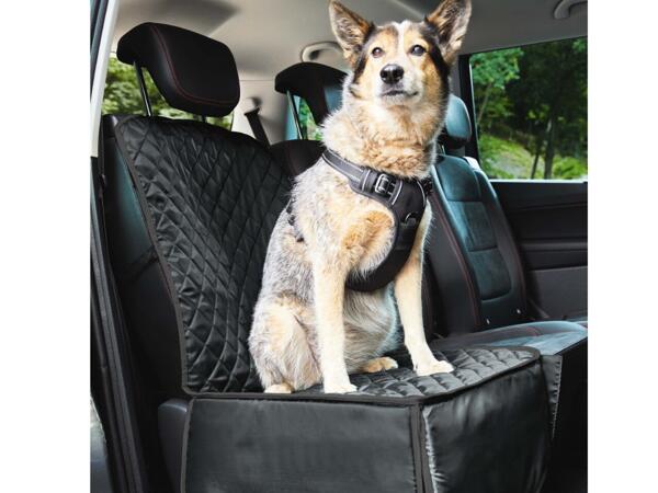 Car Seat Cover