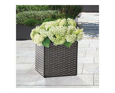 Belavi
Rattan Cube Planter