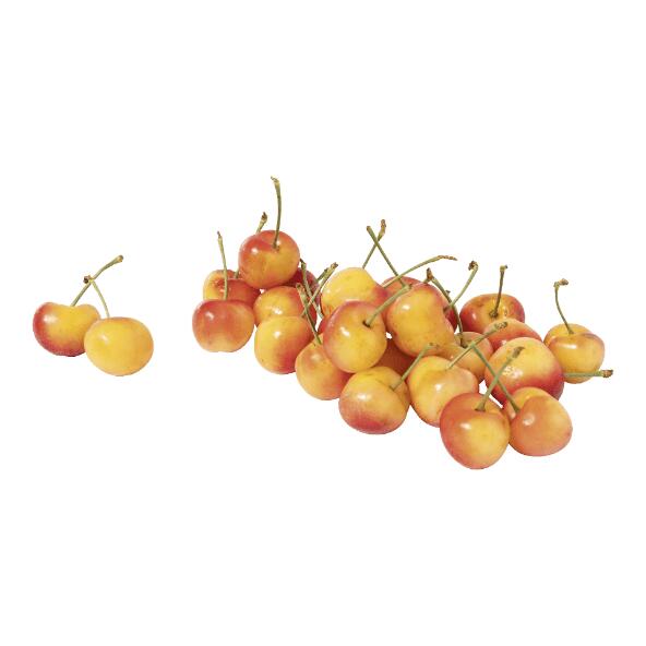 Cerises bigarreau Napoléon