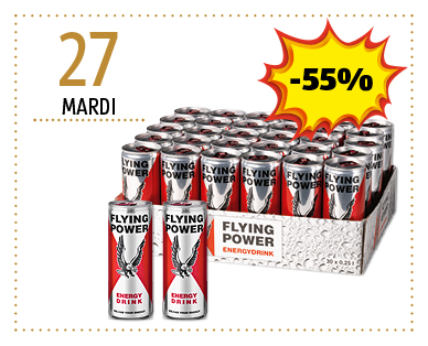 Energy Drink FLYING POWER
