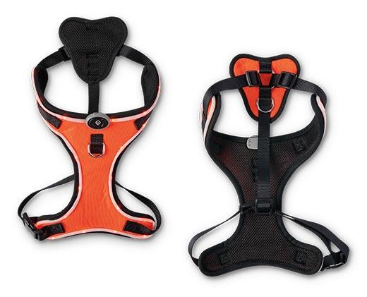 Heart to Tail LED Dog Harness
