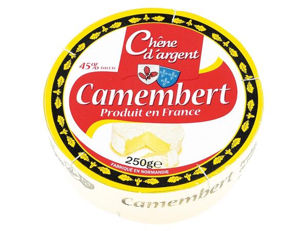 Camembert sajt