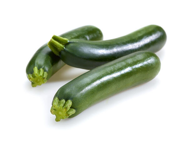 Bio-Zucchini