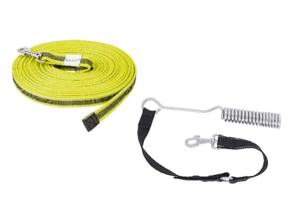 Dog Lead Assortment