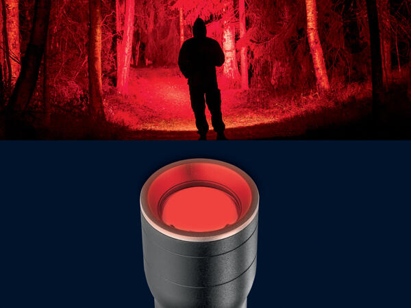 Rechargeable LED Torch