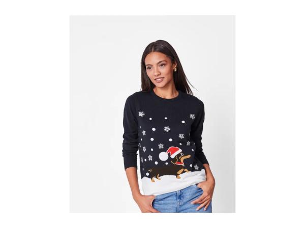 Esmara Ladies' Premium Christmas Jumper With Lights